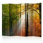 Paravan u 5 dijelova - Forest Colours II [Room Dividers] 225x172