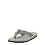 SKECHERS Japanke 'TANTRIC - FRITZ' siva 16643544